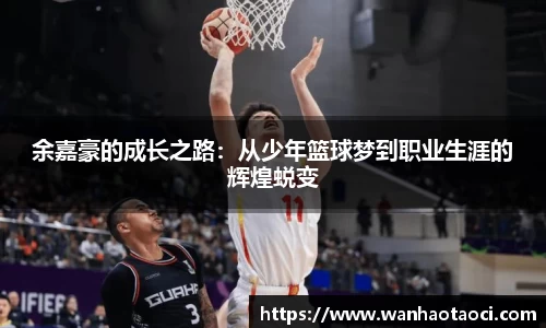 b体育官网