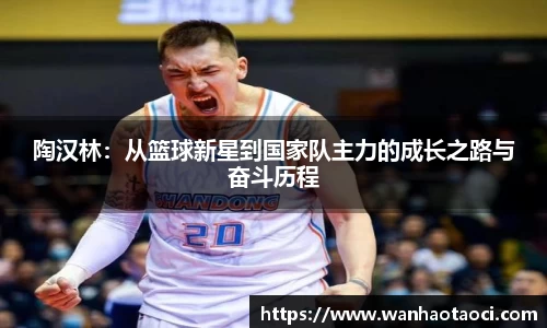 b体育官网